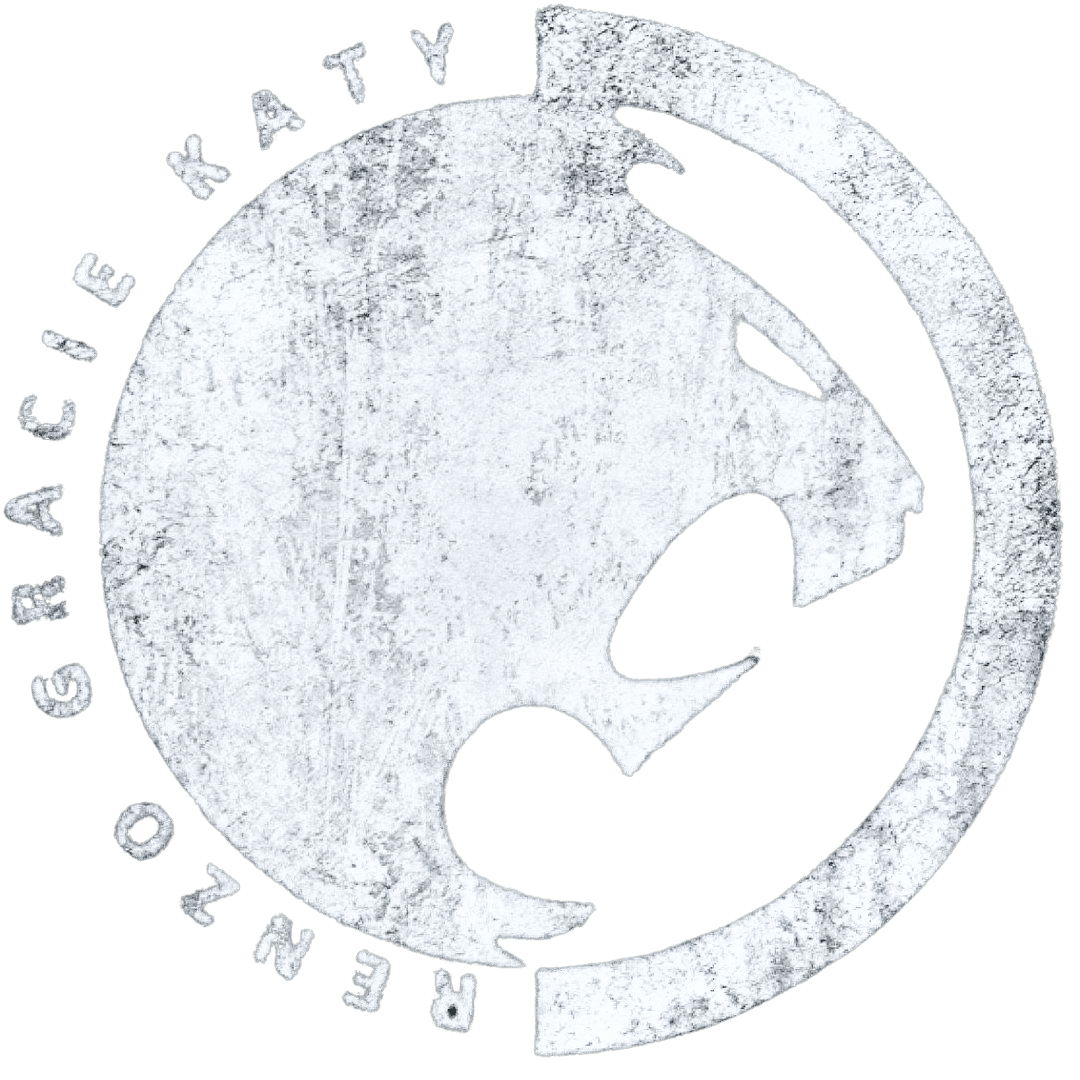 Brazilian Jiu-Jitsu in Katy
